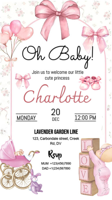 Pink Pastel Baby Girl Shower Invitation  Instagram Story template