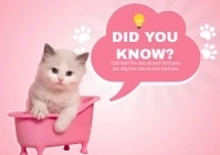 Pink Pastel Did You Know Cat Postcard Открытка template