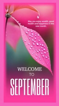 Pink Pastel New Month Video Design  Instagram template
