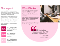 Rose Business Consulting Pamflet Template - Page 2