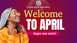 Pink Professional Happy New Month  Digital Display (16:9) template