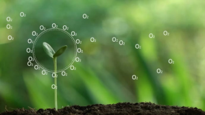 Plant a tree YouTube-miniature template