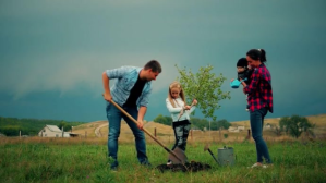 Plant a tree ตัวอย่างภาพบน YouTube template