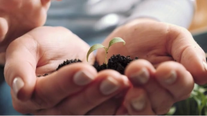 Brown Plant care. and caress him YouTube-thumbnail Template