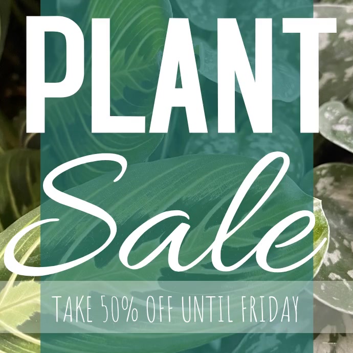 Plant Sale Ad Animated Instagram Post template