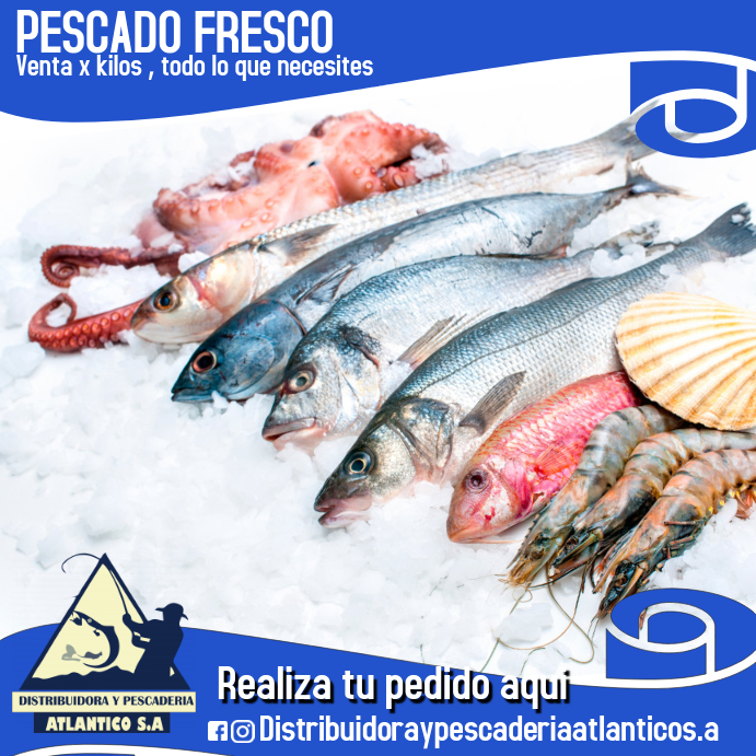 Plantilla para pescaderia Publicação no Instagram template