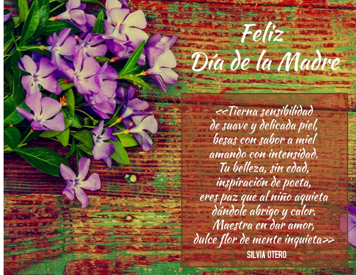 plantilla para tarjeta del día de la madre Folheto (US Letter) template