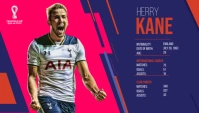Player Career Statistics Blog Header template