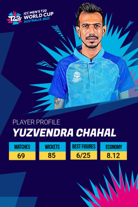 Player Profile Tumblr Graphic Template | PosterMyWall