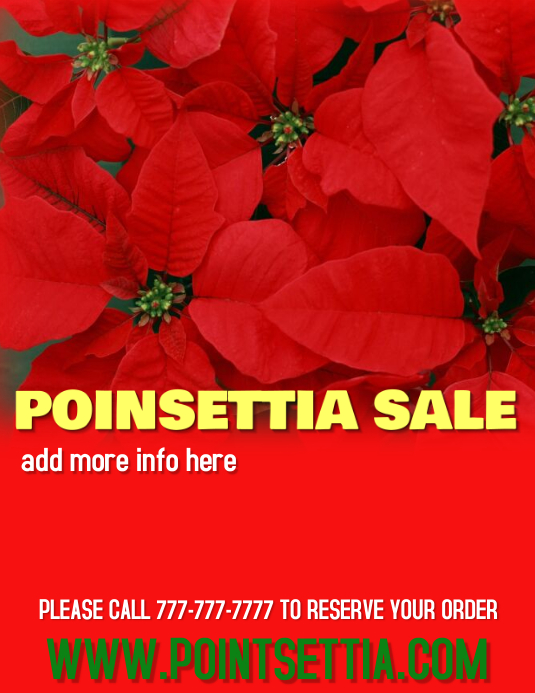 poinsettia sale Template PosterMyWall