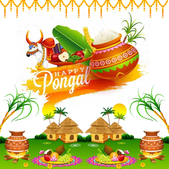 Pongal Instagram Post template