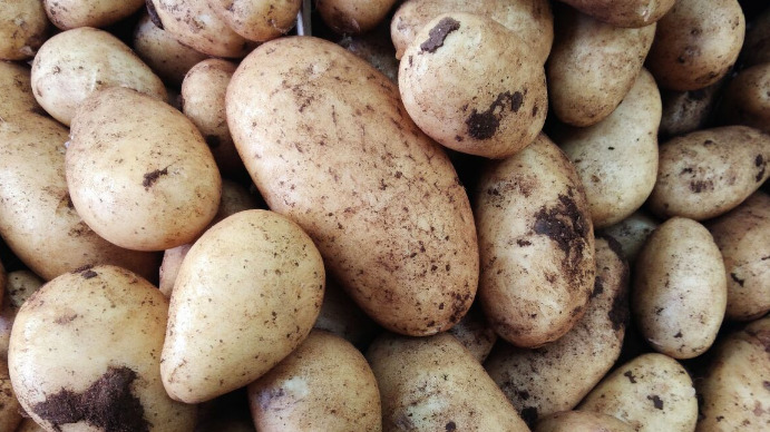 Potato texture Template | PosterMyWall