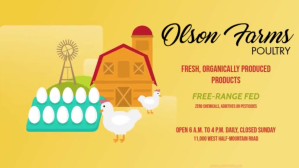 POULTRY Цифровой дисплей (16 : 9) template