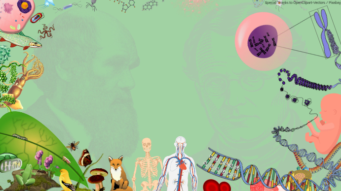 Biology Presentation Template | PosterMyWall