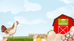 Powerpoint Fresh Eggs Background Presentation (16:9) template