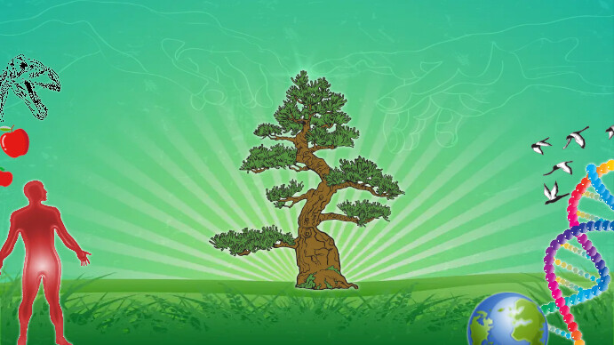 Tree Background For Powerpoint 25 Best Free Winter PowerPoint PPT