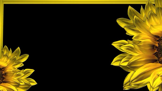 Presentation Card Templates Digital Display (16:9)