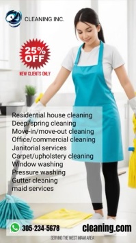 Professional & Commercial Cleaning Services Instagram Story template