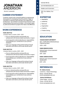 Professional 1 page A4 resume CV template