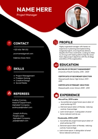 Professional 1 Page A4 Resume template