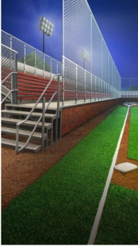 Professional Baseball  Digital Display (9:16) template