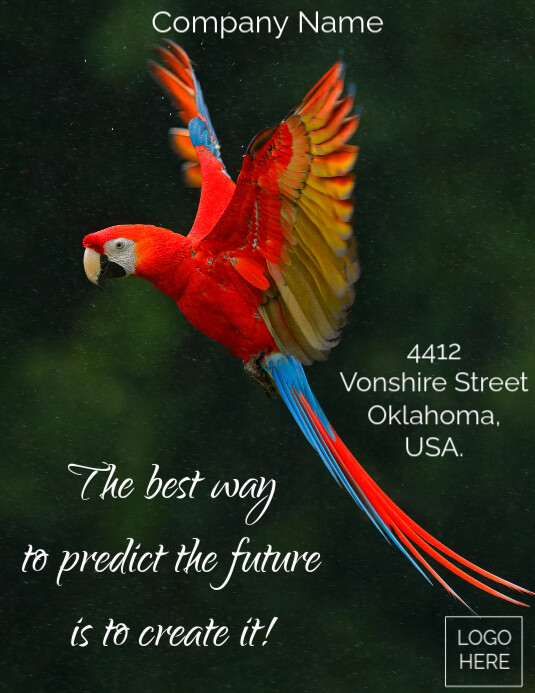 Professional Business/Company Inspirational Flyer (us Letter)/Poster Pamflet (VSA Brief) template