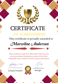 Professional Certificate Of Achievement  A4 template