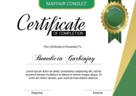 Professional Certificate Of Completion A5 template