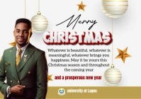 Professional Christmas A1 template