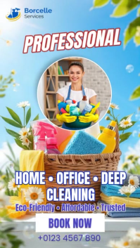professional cleaning Instagram Story template
