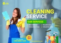 Professional Cleaning Services Ad Postcard template