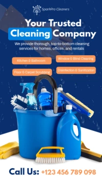 Professional Cleaning Services Poster Template Instagram Story