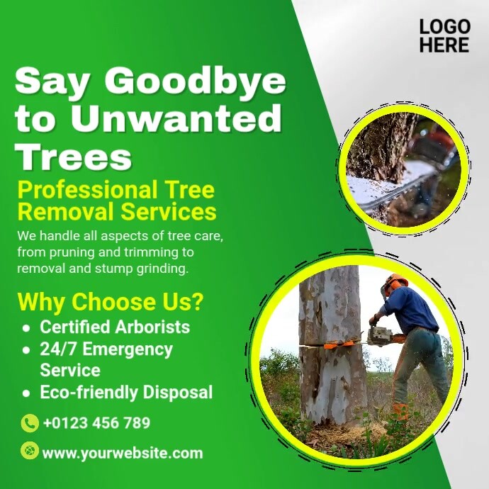 A closer look at Tree Cutting Service For Professional