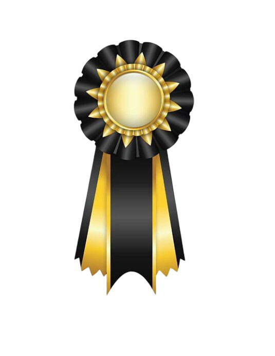 Professional Gold And Black Ribbon Badge Flyer (us Letter) Template ...