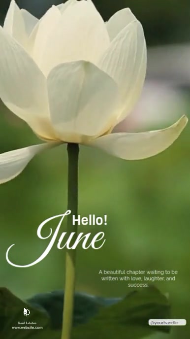 Professional Hello June Instagram Reel template