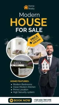 Professional House For Sale  Real Estate Listing Template Instagram Story