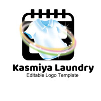 Professional Laundry Logo Logotipo template