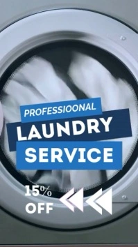 professional laundry service template Instagram Story