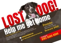 Professional Lost Animal Ad Postcard template