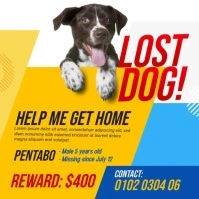Professional Missing Dog Ad Instagram Post template