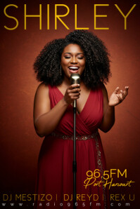 Professional Music Artists  Poster template