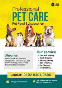 Professional Pet Care Flyer Template A4