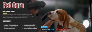 Professional Pet Care Tumblr Banner template