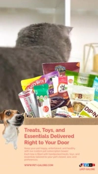 Professional Pet Subscription Boxes Delivered Treats, Toys, And Essentials Instagram Reel template