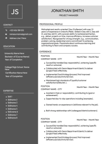 Professional resume A4 template