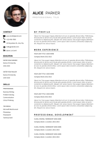 professional Resume / cv template free A4