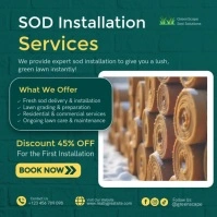 Professional Sod Installation Services Advertisement Template