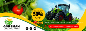 Professional Tomatoes  Facebook Cover Photo template