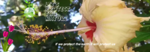 Green Protect the earth Tumblr Banner Template