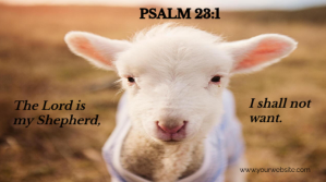 Psalm 23 Pantalla Digital (16:9) template